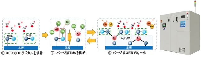 ALD/OER成膜装置